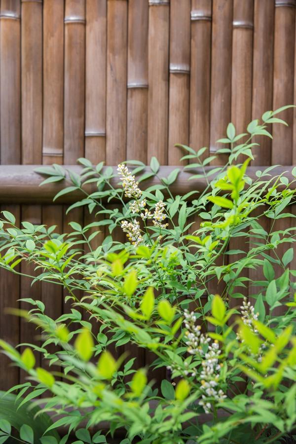 Kyoto Stay Temari Ngoại thất bức ảnh