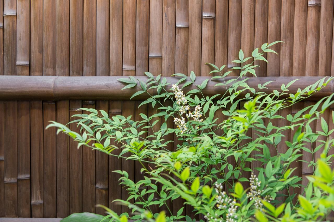 Kyoto Stay Temari Ngoại thất bức ảnh